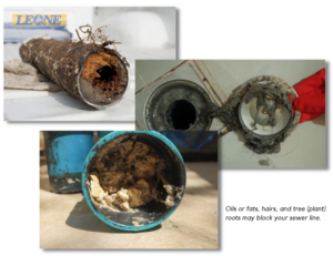 What causes sewage water backing up into the bathtub by Leone Plumbing