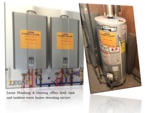 Water Heater Maintenance Service By Leone
