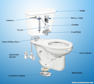 Toilet Bowl Parts Diagram By Leone Plumbing