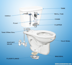 Toilet Anatomy 101: Your Toilet Parts and How They Work