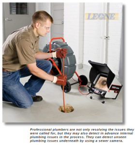 Leone Plumbing Licensed Master Plumber