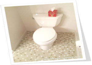 Leone Plumbing Toilet Bowl Parts Maintenance Service