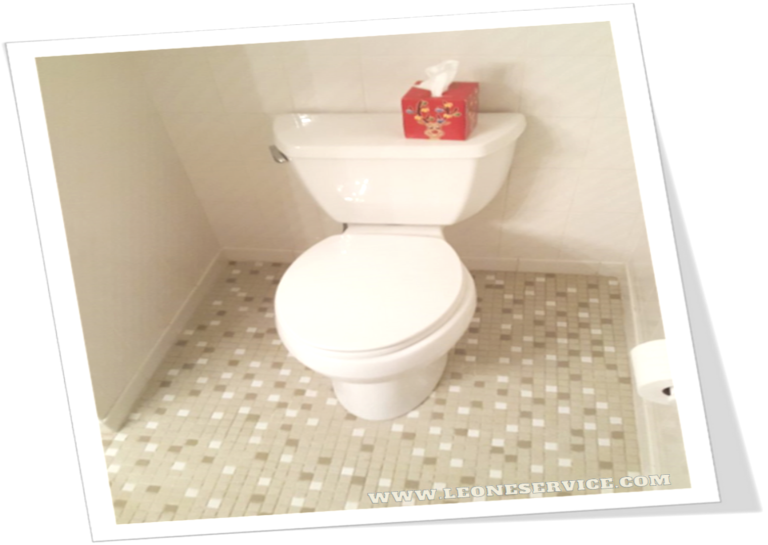 Parts of a Toilet: What They Are and How to Fix Them