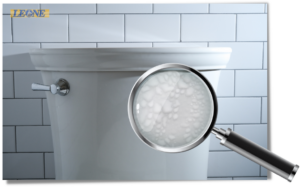 How To Prevent Condensation on The Toilet Tank By Leone Plumbing